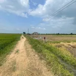 Bán đất xã Hàm Thuận Lâm Đồng 100m thổ cư 145 triệu - Ảnh thu nhỏ 2