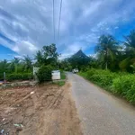 Bán đất mặt tiền Phú Hoà, Bình Chánh, 114m², 4xx triệu - Ảnh thu nhỏ 3