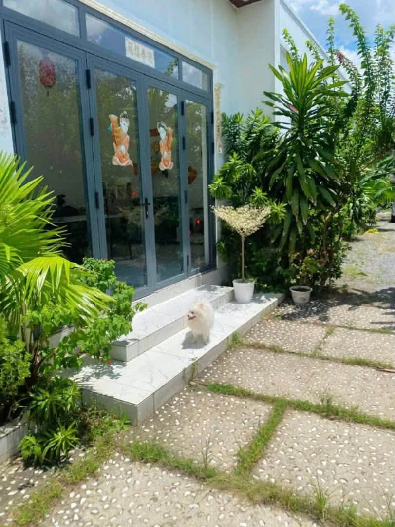 Bán nhà đẹp sân vườn rộng 3,7 tỷ gần ngã tư Phú Thứ, Phú An - Ảnh thu nhỏ 3
