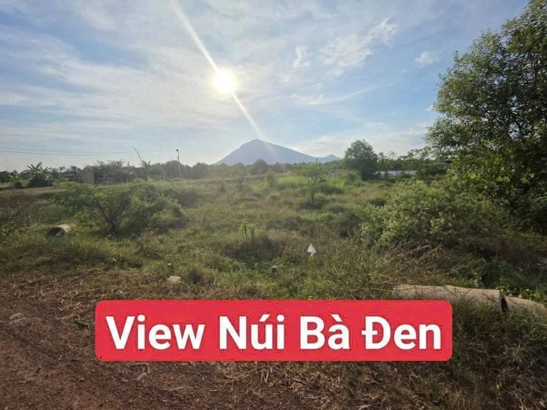 Bán đất Dương Minh Châu Tây Ninh 175m2 290 triệu - Ảnh thu nhỏ 4