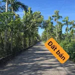 Bán đất nền 120m² giá 540 triệu tại Ea Tiêu, Đắk Lắk - Ảnh thu nhỏ 2