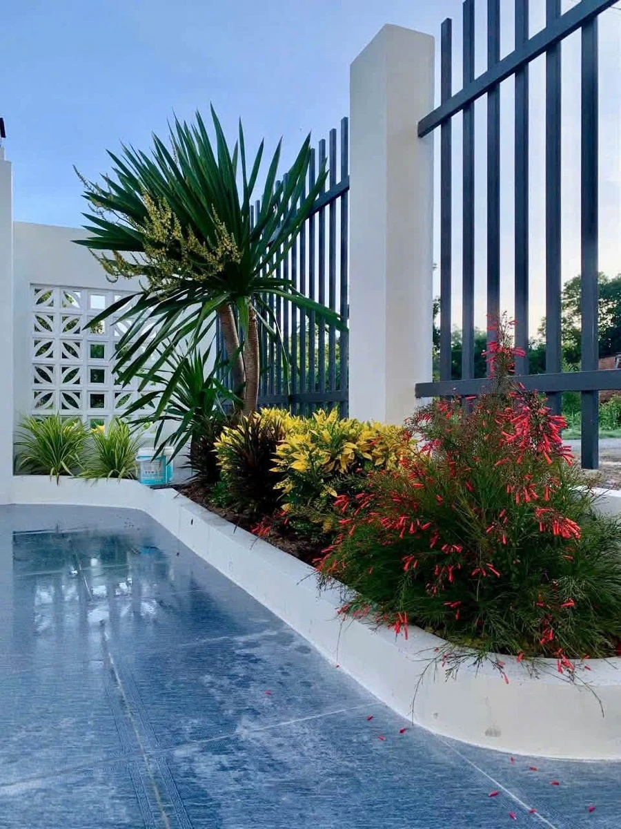 Bán nhà mới 3 phòng ngủ 142.5m² Tây Ninh 1 tỷ 666 triệu - Ảnh thu nhỏ 4