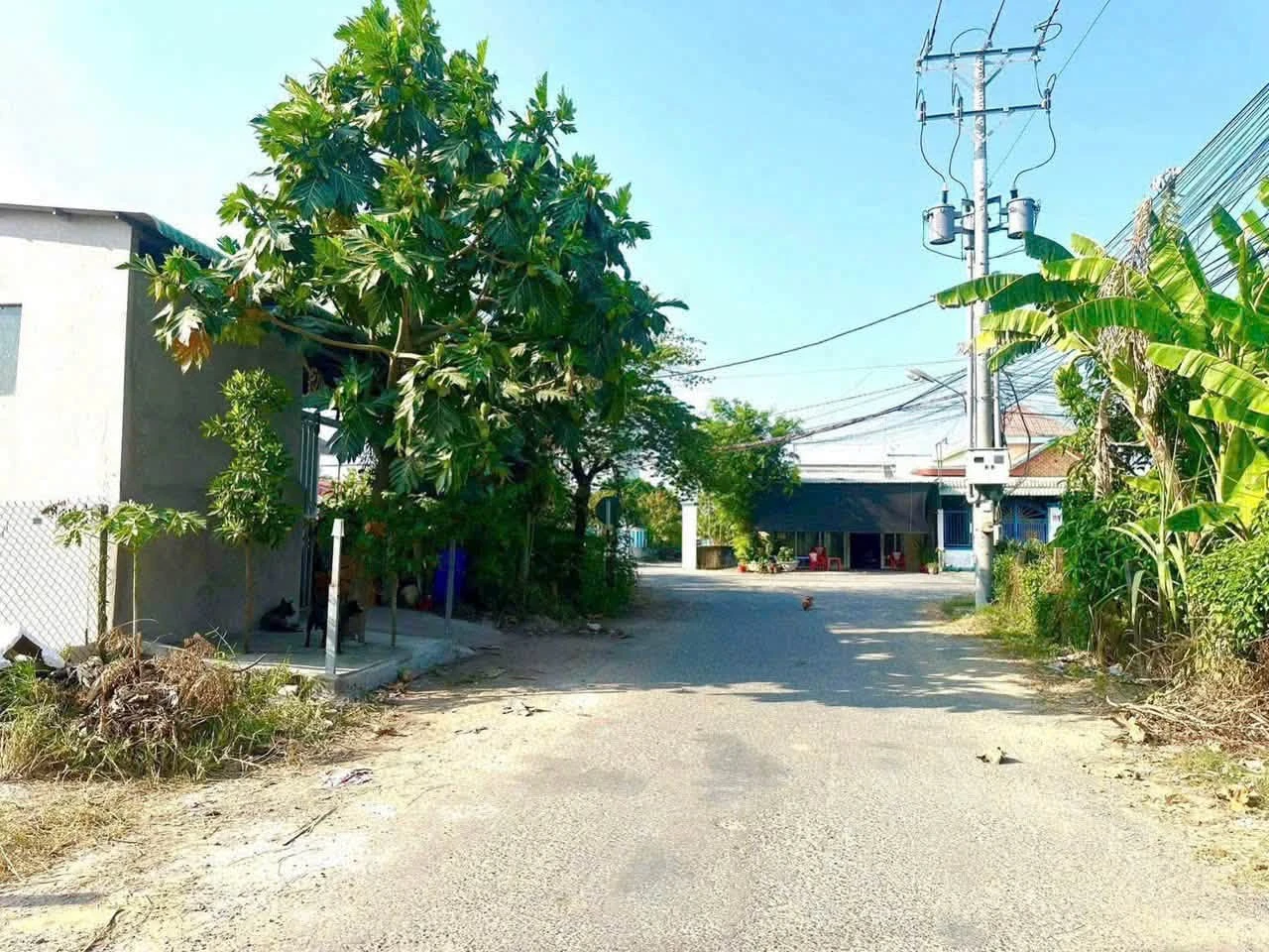 Bán đất mặt tiền đường Đỗ Tường Tự, xã Bình Tâm, Tân An, Long An, giá 2,75 tỷ - Ảnh 1