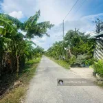 1,2 tỷ - Đất xây trọ gần KCN Phước Đông, Tây Ninh 11x46m có 100m² thổ cư - Ảnh thu nhỏ 17