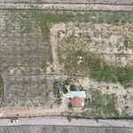 Bán lô đất 13.000m² Hoà Hội Xuyên Mộc 11.5 tỷ - Ảnh thu nhỏ 5