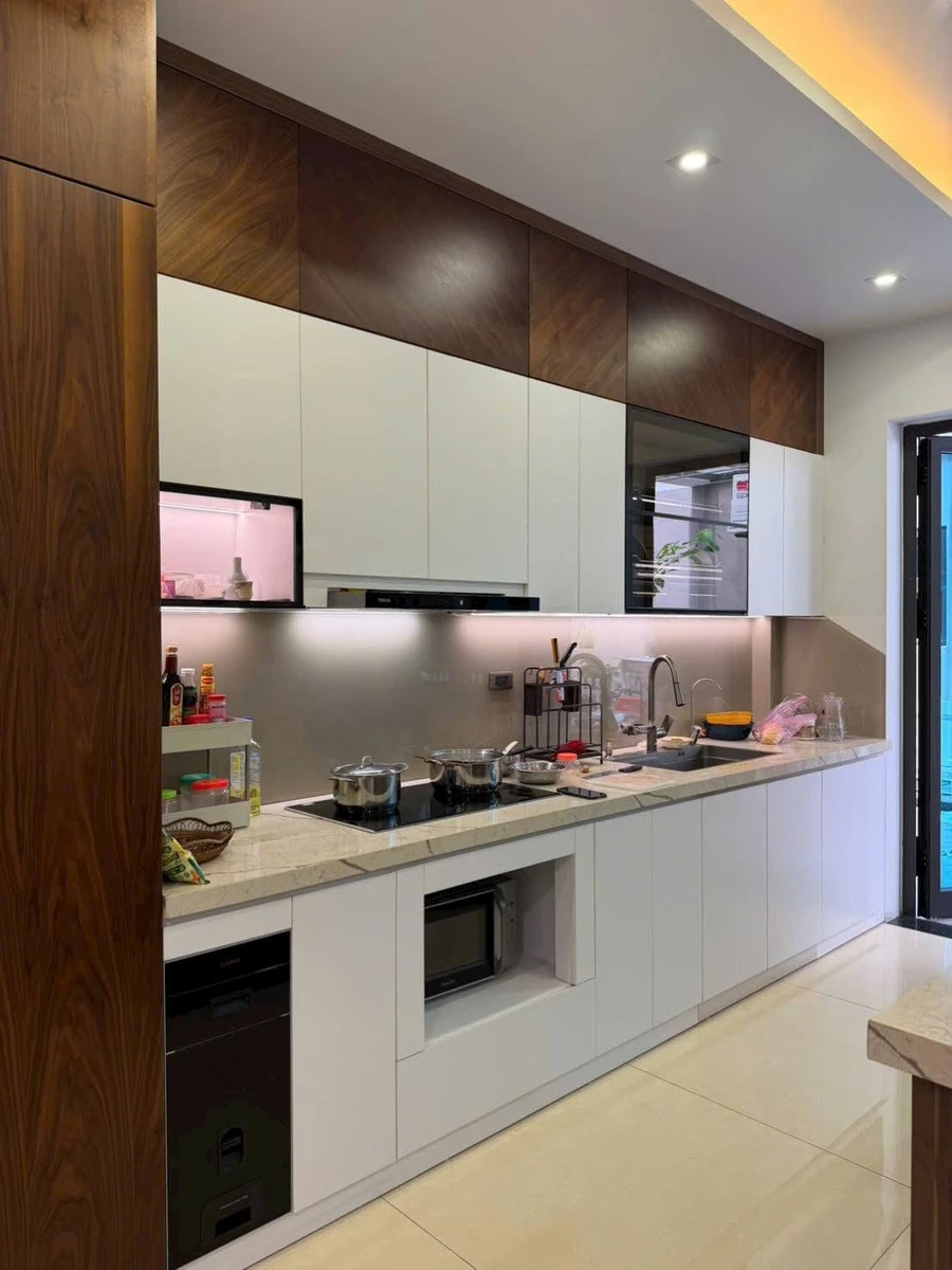 Bán nhà 4 tầng 95m2 tại Ecopark Hải Dương, 10 tỷ - Ảnh thu nhỏ 2