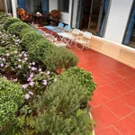 Bán nhà cấp 4 mới 3PN 200m² Đà Lạt 2.6 tỷ - Ảnh thu nhỏ 2