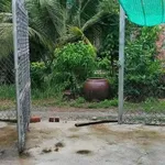 Bán đất 755m2 có nhà cấp 4 Xã Châu Hoà, Bến Tre - Ảnh thu nhỏ 3