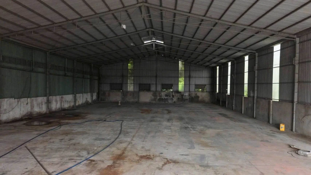 Cho thuê kho xưởng 4000m2, 1000m2 xây dựng ở Bình Dương - Ảnh thu nhỏ 2