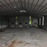Cho thuê kho xưởng 4000m2, 1000m2 xây dựng ở Bình Dương - Ảnh thu nhỏ 2