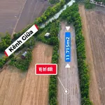 Bán đất ruộng 11.715m² Nguyễn Chánh, An Giang - Ảnh thu nhỏ 2