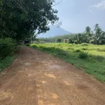 Bán đất Xã Phan Tây Ninh 250m² giá 329 triệu - Ảnh thu nhỏ 3