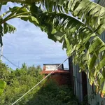 Bán đất hẻm 70m² Nguyễn Gia Thiều 599 triệu - Ảnh thu nhỏ 2