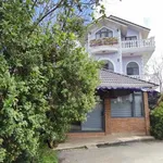 Bán villa sân vườn 300m² dòng tiền tốt đường Nguyên Tử Lực, Đà Lạt giá 12 tỷ - Ảnh thu nhỏ 1