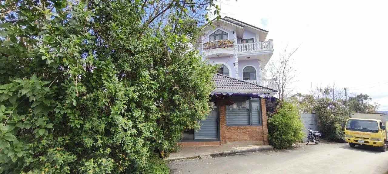 Bán villa sân vườn 300m² dòng tiền tốt đường Nguyên Tử Lực, Đà Lạt giá 12 tỷ - Ảnh 1
