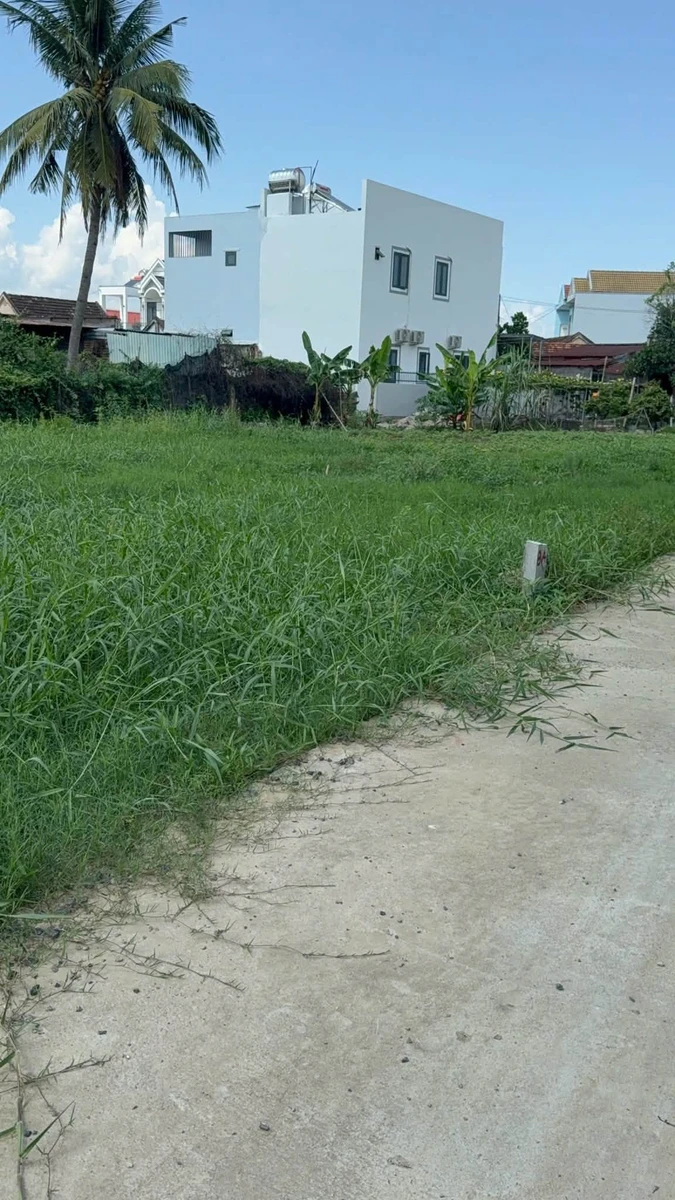 Bán đất ở 95,4m² gần 100m² Diên An 1,86 tỷ - Ảnh thu nhỏ 3
