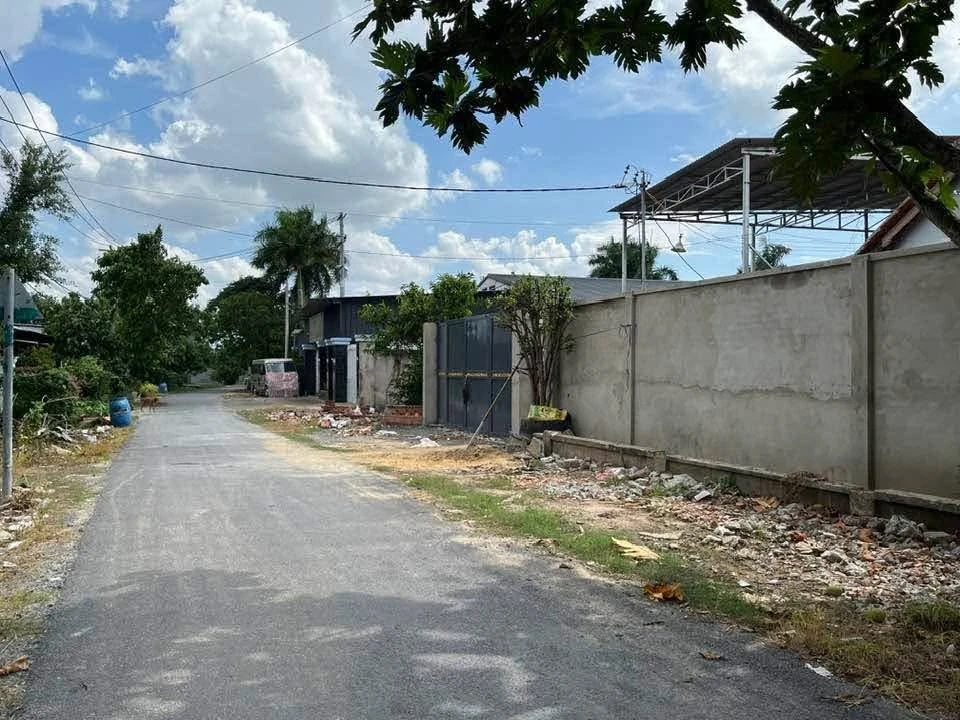 Bán 7000m² đất thổ vườn Tân Thạnh Đông Củ Chi, 4tr/m² - Ảnh thu nhỏ 3