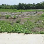 Bán đất thổ cư 5x15m (75m2) giá 315 triệu tại Bình Lãng, Tân Trụ, Long An - Ảnh thu nhỏ 3