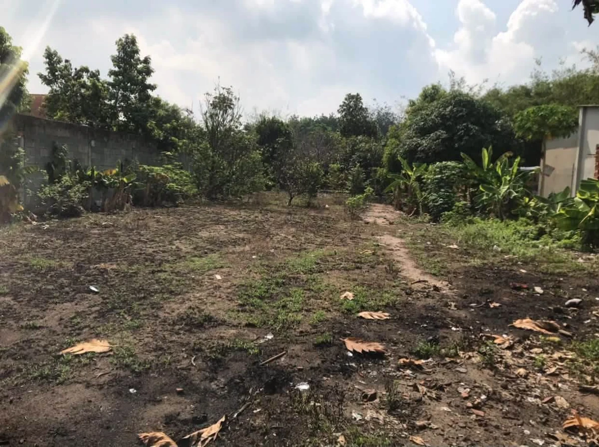 Bán đất Củ Chi 765m² thổ cư 300m² 5,8 tỷ - Ảnh thu nhỏ 2