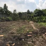 Bán đất Củ Chi 765m² thổ cư 300m² 5,8 tỷ - Ảnh thu nhỏ 2