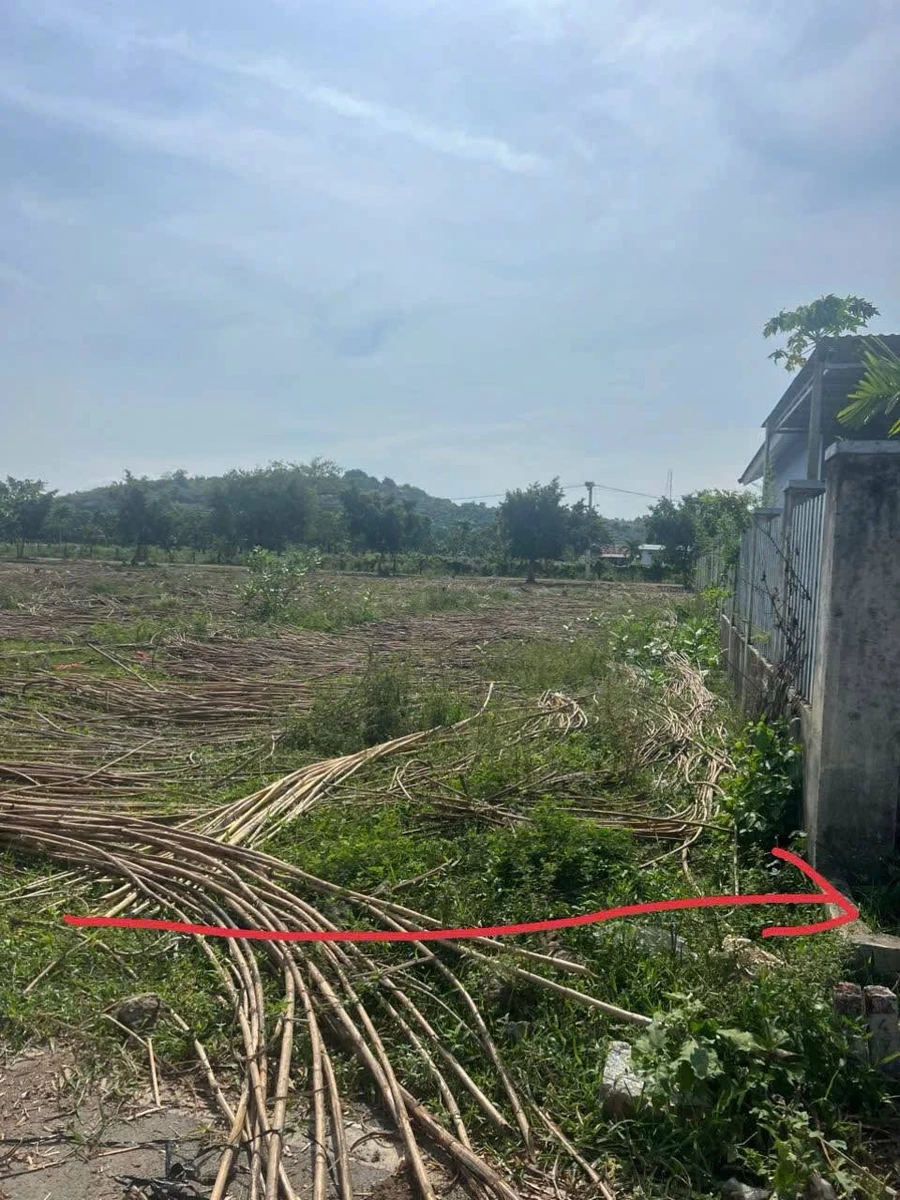 Bán đất Diên Hòa 169,3m² mặt tiền đường 650 triệu - Ảnh thu nhỏ 3