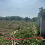 Bán đất Diên Hòa 169,3m² mặt tiền đường 650 triệu - Ảnh thu nhỏ 3
