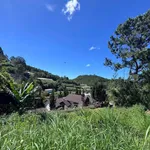 Bán đất Hùng Vương Đà Lạt 605m² view rừng thông - Ảnh thu nhỏ 4