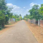 Bán đất mặt tiền 240m2 gần KCN Phú Xuân, Đắk Lắk 650 triệu - Ảnh thu nhỏ 3