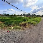 Bán đất thổ cư mặt tiền đường nhựa Nguyễn Văn Mỹ, Bình Tịnh, Tân Trụ, 125m2, 679 triệu - Ảnh thu nhỏ 1