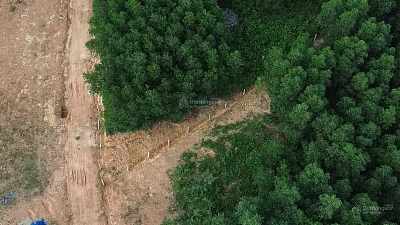 Bán đất tại Vinh Hưng, 900 triệu, 255m2, Chính chủ - Ảnh 1
