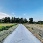 Bán lô đất nền 1000m2 ở Lâm Đồng giá 390 triệu - Ảnh thu nhỏ 3