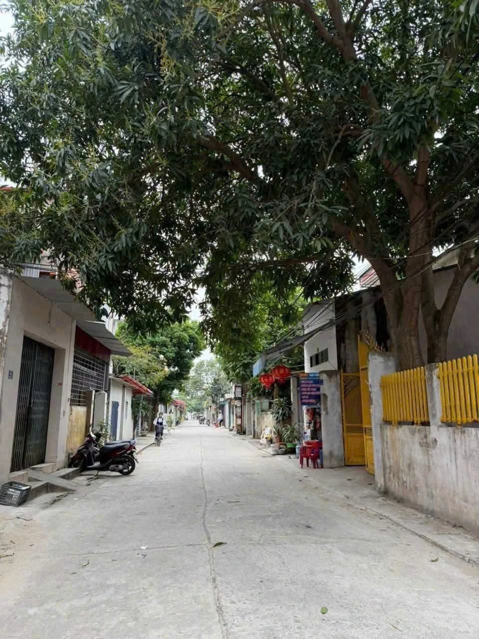 Bán 2 lô đất liền kề hơn 42m2 ngõ phố Trần Quang Diệu, Hải Tân, TP Hải Dương - Ảnh 1