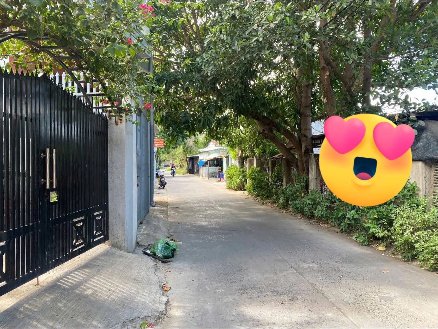 Bán nhà cấp 4 sân vườn 76m2, Phường 8, Tuy Hoà, giá 2 tỷ 600 - Ảnh 1