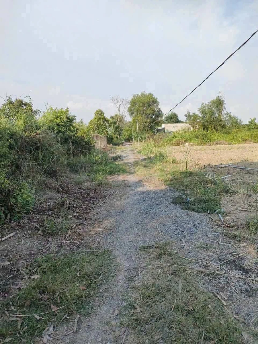 Bán nhà vườn 1097m2 giá 1 tỷ 300 triệu tại Tây Ninh - Ảnh thu nhỏ 4