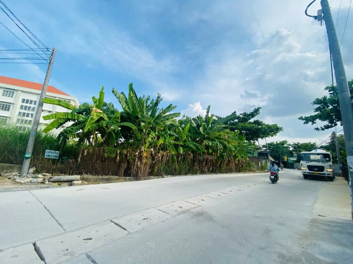 Bán đất mặt tiền đường Cầu Sắt 200m2 Tân Phong - Ảnh 1