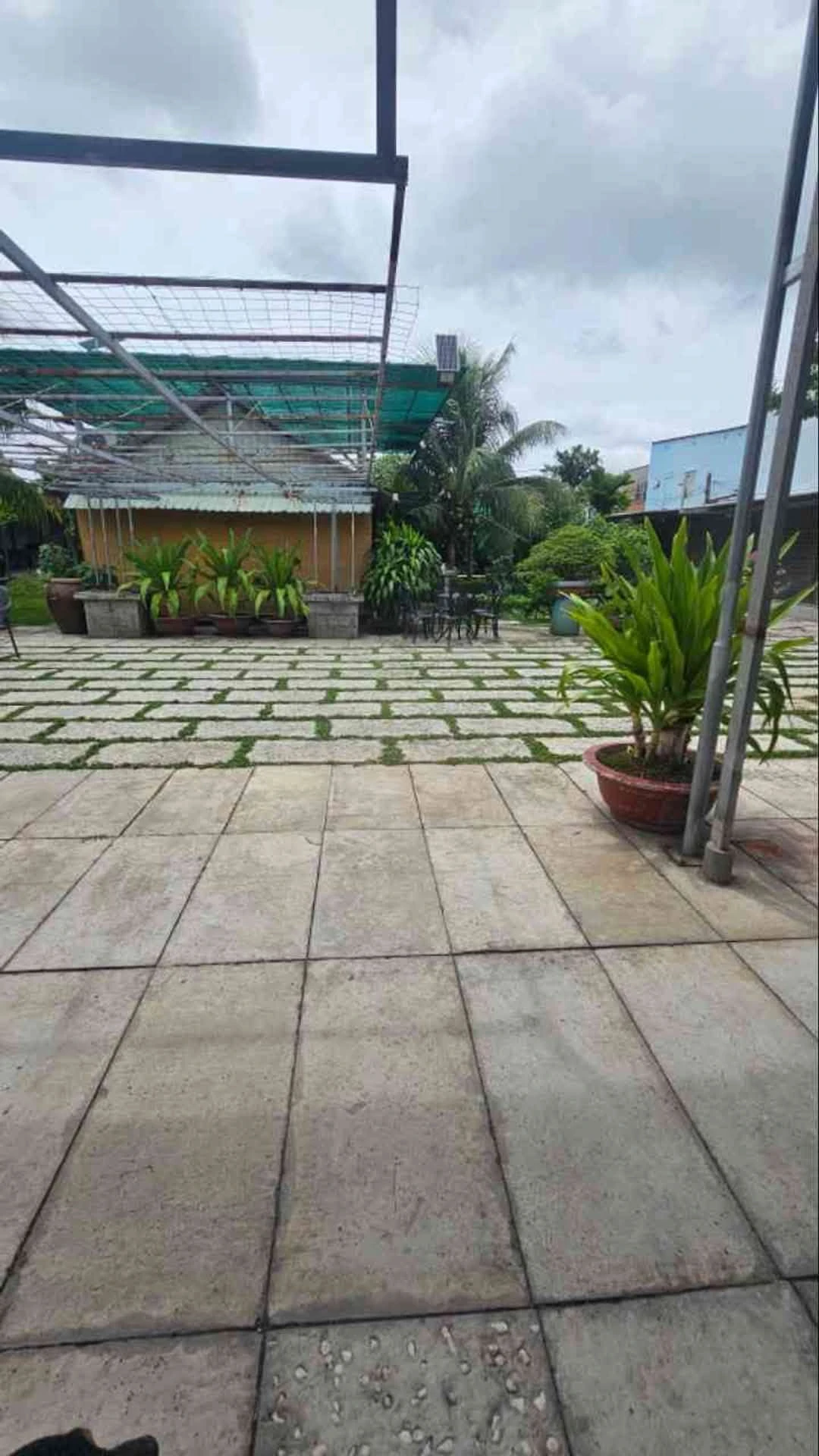 Nhà vườn 1030m2 Vĩnh Lộc A, Bình Chánh 17.5 tỷ - Ảnh 1