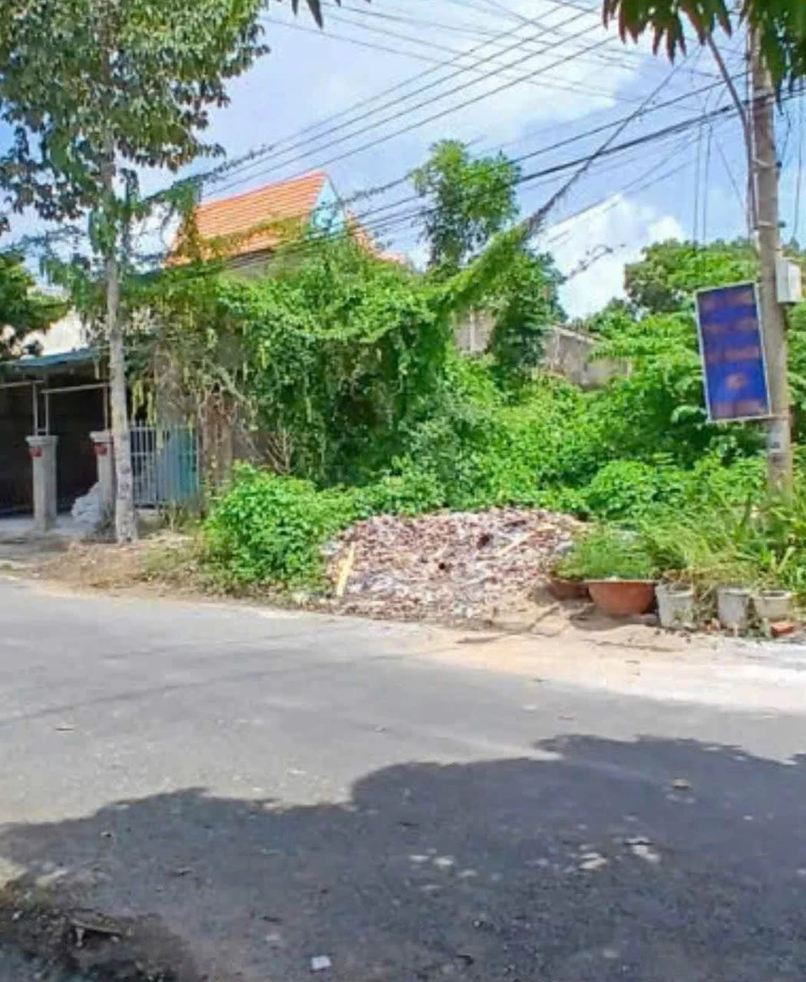 Bán đất mặt tiền Nguyễn Du Tân Hưng Long An 190m2, 1,2 tỷ - Ảnh thu nhỏ 3