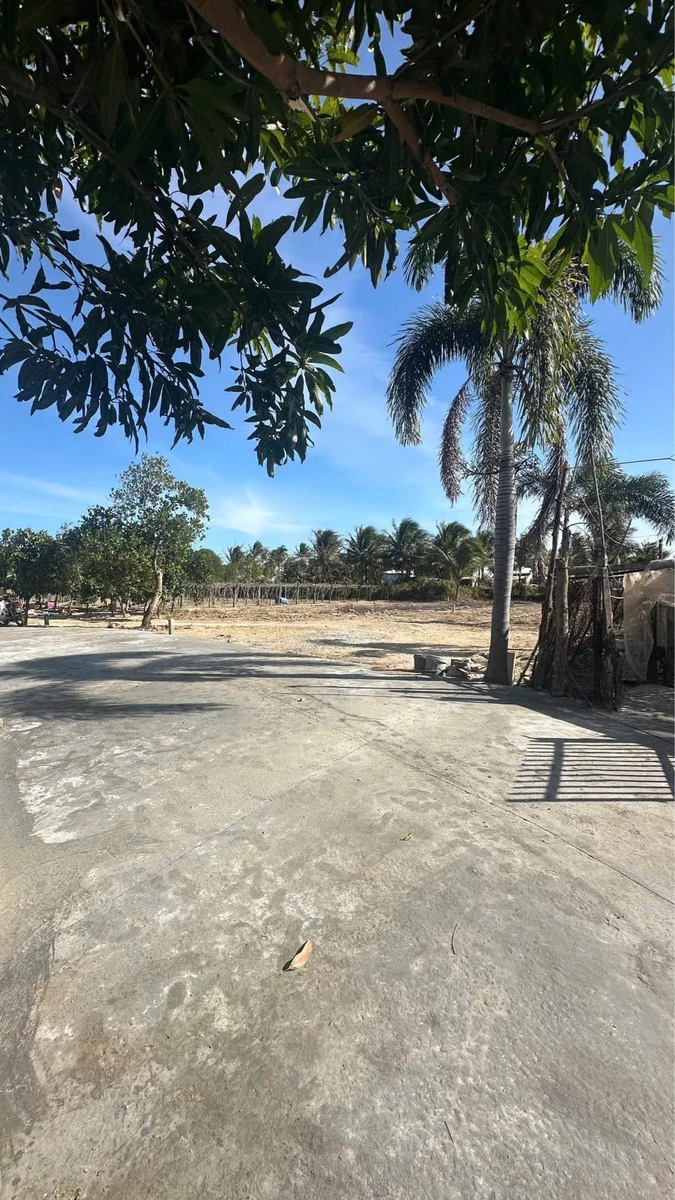 Bán 2 lô đất nông nghiệp Phan Rang, 370m² và 358m², từ 690 triệu - Ảnh thu nhỏ 5
