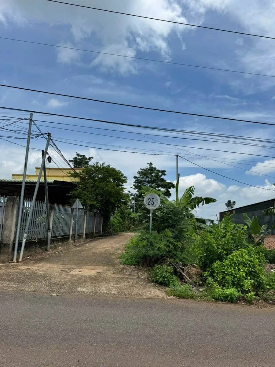 Bán đất 2500m2 nhà vườn nghỉ dưỡng Cẩm Mỹ - Ảnh thu nhỏ 3