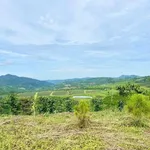 Bán đất 2 sào, 2 mặt tiền, Bảo Lộc, 1 tỷ 1 - Ảnh thu nhỏ 2