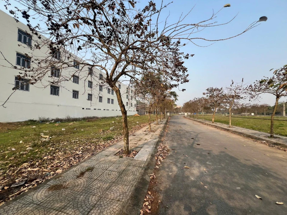 Bán đất nền giá tốt, 1,6 tỷ, 85m2 ở Quốc lộ 32, Tam Nông, Phú Thọ - Ảnh thu nhỏ 4