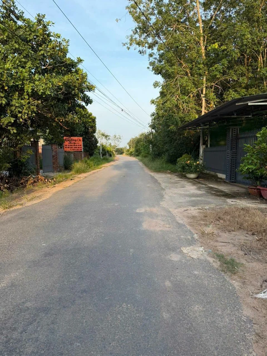 Bán 1 mẫu đất mặt tiền đường nhựa ấp Tân Tiến, xã Tân Phú, Tây Ninh giá 2,2 tỷ - Ảnh thu nhỏ 2