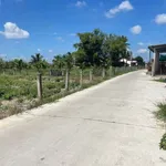 Bán đất thổ cư 5x39m giá 599 triệu tại xã Tầm Vu, Tây Ninh - Ảnh thu nhỏ 2