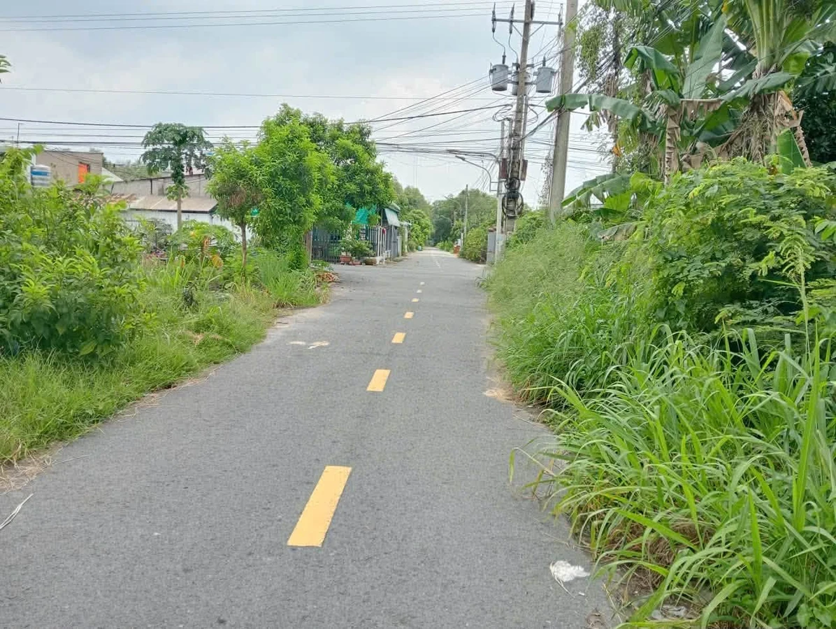 Bán lô đất Phú An 1092m2, giá 3 tỷ 800 triệu - Ảnh thu nhỏ 5