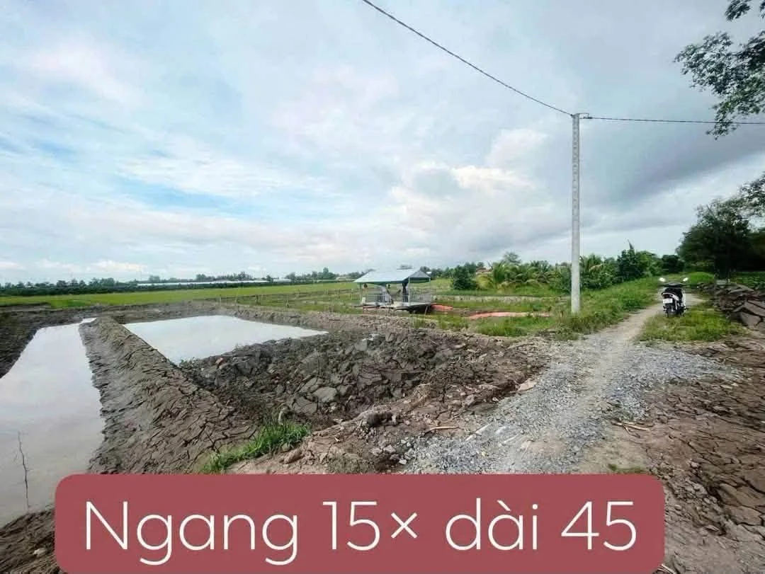 Bán đất 700m2 giá 399 triệu tại Mỹ Thuận, Vĩnh Long - Ảnh thu nhỏ 5