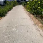 Bán đất lúa mặt tiền 2000m² Thủ Thừa Long An 2,1 tỷ - Ảnh thu nhỏ 1