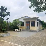 Nhà vườn cây ăn trái 3000m2, 300m2 thổ cư, gần QL 13 - Ảnh thu nhỏ 1