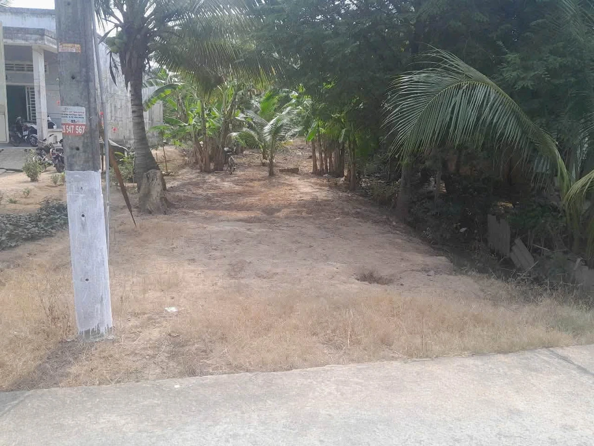 Bán đất vườn dừa 1160m² Phú Tân Cần Giờ 1 tỷ 700 triệu - Ảnh thu nhỏ 3