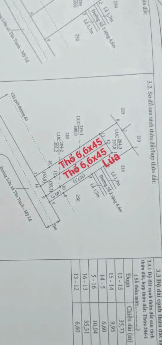 Bán 1000m² đất thổ cư Mỹ Lệ, Cần Dước 3,8 tỷ - Ảnh thu nhỏ 4