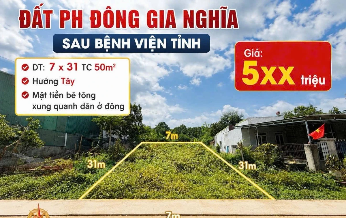 Bán lô đất 210m2 Lâm Đồng 550 triệu - Ảnh thu nhỏ 4